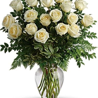 <p>Your Love & Devotion delivered. Surprise your special one with this gorgeous arrangement of white roses available in one dozen, 18 roses or two dozen beautiful blooms.</p>
<p>It’s a an unforgettable display of your timeless love that they'll always remember.</p>