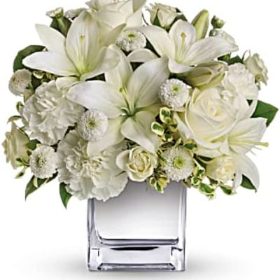 <p>This exquisite all-white bouquet in a dazzling mirrored silver cube may be petite, but it will make a huge impression.<br />
So much beauty for such a merrily modest price tag.<br />
The lovely bouquet includes white roses, white spray roses, white Asiatic lilies, white carnations and white button spray chrysanthemums accented with assorted greenery.</p>