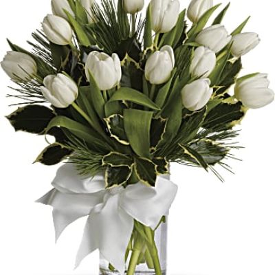 <ul id="tabs-pdp" class="nav nav-tabs" data-tabs="tabs">
<li id="descriptionTab" class="active"><a href="https://www.teleflora.com/bouquet/tulips-and-pine?prodID=P_T12Z114A&skuId=T12Z114A&zipMin=&showAllSkus=true#description" data-toggle="tab">DESCRIPTION</a></li>
<li id="sizesTab"><a href="https://www.teleflora.com/bouquet/tulips-and-pine?prodID=P_T12Z114A&skuId=T12Z114A&zipMin=&showAllSkus=true#sizes" data-toggle="tab">SIZES</a></li>
</ul>
<div id="tabs-pdp-content" class="tab-content">
<div id="description" class="tab-pane fade active">
<div id="mark-3" class="m-pdp-tabs-marketing-description">Give a gift of simple winter beauty. Send a bouquet of white tulips that are as pure as fresh-fallen snow, accented with just a touch of fragrant white pine. It's the essence of the season, captured in a vase.</div>
</div>
</div>