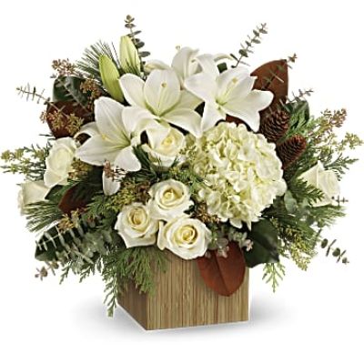 <p>Give the gift of modern winter-white style with this breathtaking bouquet, hand-arranged in a wooden cube.</p>
<p>This winter bouquet includes white hydrangea, white roses, white asiatic lilies, magnolia leaves, seeded eucalyptus, spiral eucalyptus, flat cedar and white pine.</p>